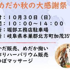 柿めだか　即売会　１０月３０日