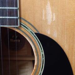 モーリス・フォークギター W-50