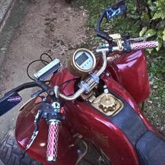 中華四輪バギー、オイルクーラー付き!