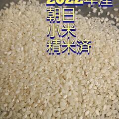 朝日米 小米 精米済 10kg