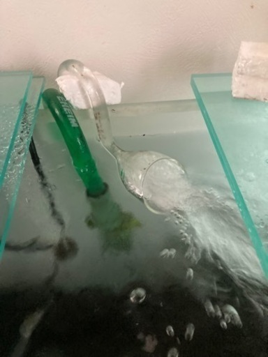 購入者決定しました ADA水槽、エーハイム2217.ADAグランドソーラー等