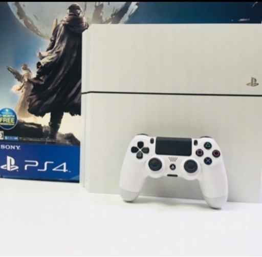 ps4 本体 ケース 付属付き | noonanwaste.com