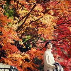 11月20日神戸布引の滝ハーブ園紅葉狩りハイキング