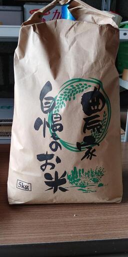 福井県産こしひかり　玄米　30Kg 新米（R4年産）農家直送 令和4年度産 農家の新米コシヒカリ 玄米30㎏
