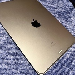 【ネット決済・配送可】iPadPro11インチ(第一世代) 64...