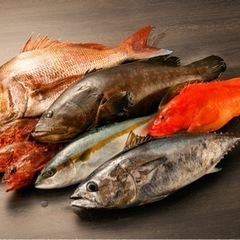 【ネット決済・配送可】鮮魚販売‼️ 長崎県対馬市の漁師から直送便‼️