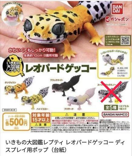 いきもの大図鑑レプティのレオパードゲッコー　セット　ガチャ