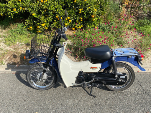 バーディー50 Fi インジェクション