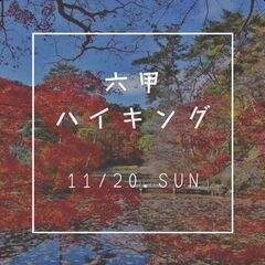 秋🍁森林浴と紅葉を満喫🍁初心者みんなで楽しむ六甲山ハイキングツアーの画像