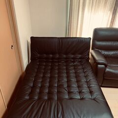 ソファベッド　関東エリアにお住まいの方無料でお届けします！（まずはお住まい地域をご相談下さい）