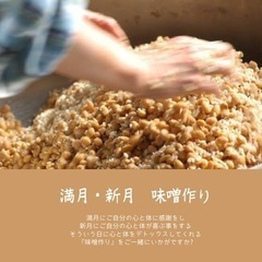 満月・新月 味噌作り 11/8 金曜日 10:00〜15:00