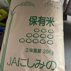 岐阜県産　令和３年産　ハツシモ　玄米　３０ｋｇ
