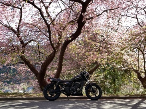 エリミネーター250se