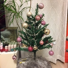 ミニクリスマスツリー