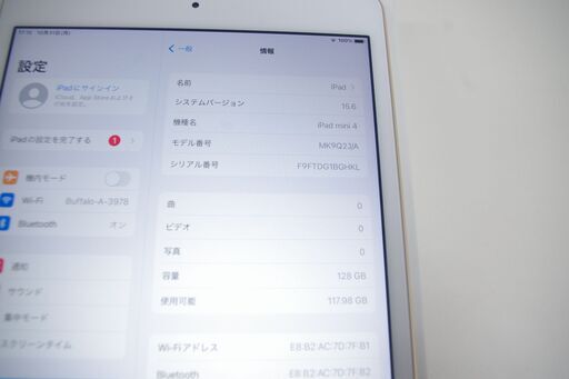Wi-Fiモデル】iPad mini 4 (MK9Q2J/A) 128GB/ゴールド | www.ktmn.co.ke