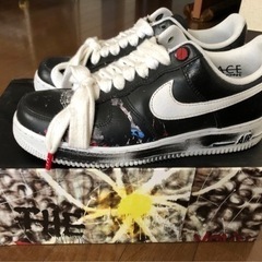 【ネット決済・配送可】（pipi）AirForce1 Low G...