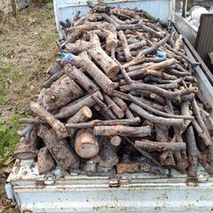 薪広葉樹ニレゲヤキ