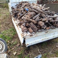 薪広葉樹ニレゲヤキ