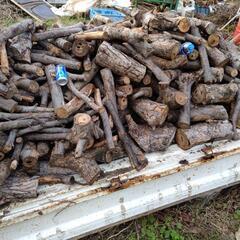 薪広葉樹ニレゲヤキ