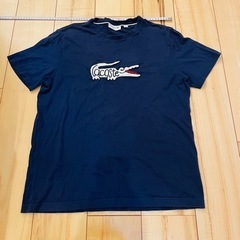 ラコステ　Tシャツ　紺　ネイビー　L