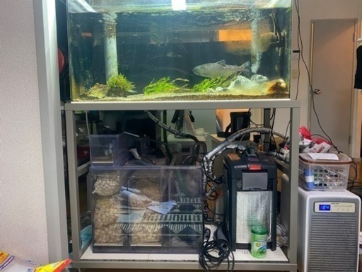 水槽オーバフロー 90センチ フルセット | stainu-tasikmalaya.ac.id