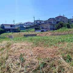 大阪府【八尾】【柏原】広大な土地や遊休農地など～手つかずで土地をもて余してらっしゃる方、お話させて下さい。■大阪→東大阪、八尾、柏原、藤井寺、太子町など■奈良→香芝、平群、斑鳩、王寺など - 助け合い