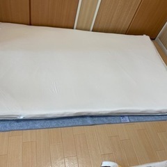 トゥルースリーパープレミアムケア🌙セミダブル【買取手見つかりました！】