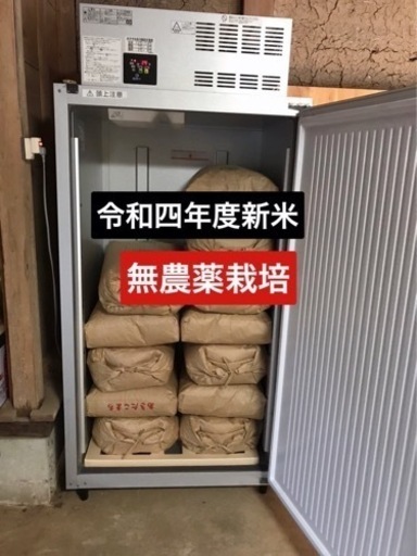 無農薬　令和４年度　新米　コシヒカリ　冷蔵庫保管