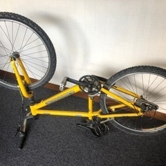 キャノンデール：F500