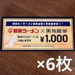 新潟ラーメン お食事券 6000円分