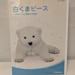  【中古DVD】白くまピース～日本初・人工哺育の全記録～