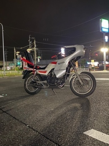 gsx250l gsx250e ゴキ仕様 吸い込み