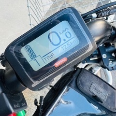 ブロンクスバギー ポリッシュ　e-bike ネット決済可