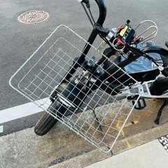 ブロンクスバギー ポリッシュ　e-bike ネット決済可 ブロンクスバギー ポリッシュ e-bike ネット決済可