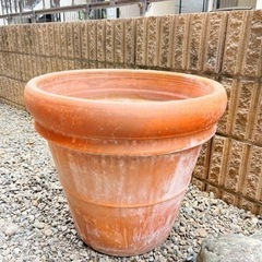 テラコッタ鉢　　植木鉢