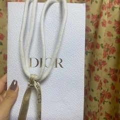 Dior CHANEL LOUIS VUITTON FENDI 紙袋