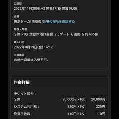 KISSコンサート 11月30日 1塁側1階席 1枚