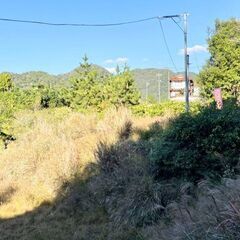 🏡 安佐北区白木町大字志路　売土地　陽だまりのなか家庭菜園はいかがでしょうか？ - 土地販売/土地売買