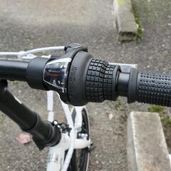 14インチ折り畳みアルミ自転車