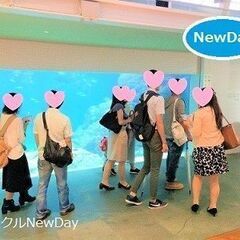 🌼広島の散策コン in 宮島水族館！🍃　広島の友達づくりイ…