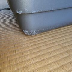 ペットハードキャリー