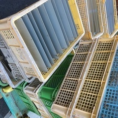 中古活魚籠
