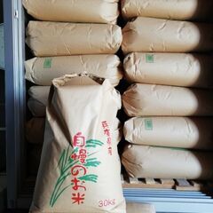 令和4年　新米　兵庫県産　ヒノヒカリ　玄米　20キロ　農家のお米