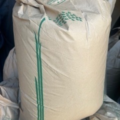 玄米30kg きぬむすめ兵庫県加西産