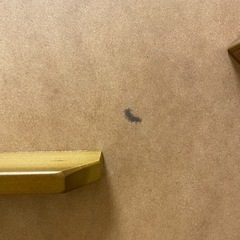 こたつ テーブル