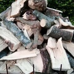 ●引取限定●広葉樹 未乾燥 規格外 薪0.729㎥に山盛り