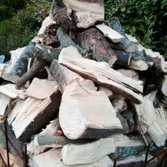 ○引取限定○広葉樹 未乾燥 規格外 薪0.729㎥に山盛り