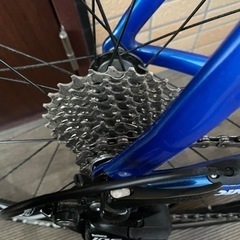 ピナレロ RAZHA 184 イタリアンザフィーラーブルー 完成品  サイコン、スタンド付