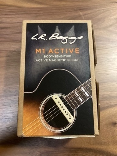 k.yairi RF90 L.R.Baggs M-1 付き | brancosoft.com