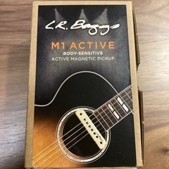 k.yairi RF90 L.R.Baggs M-1 付き